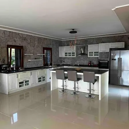 别墅 Gaia - Sea View With Private Pool 博德鲁姆